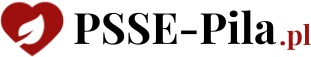 PSSE PILA